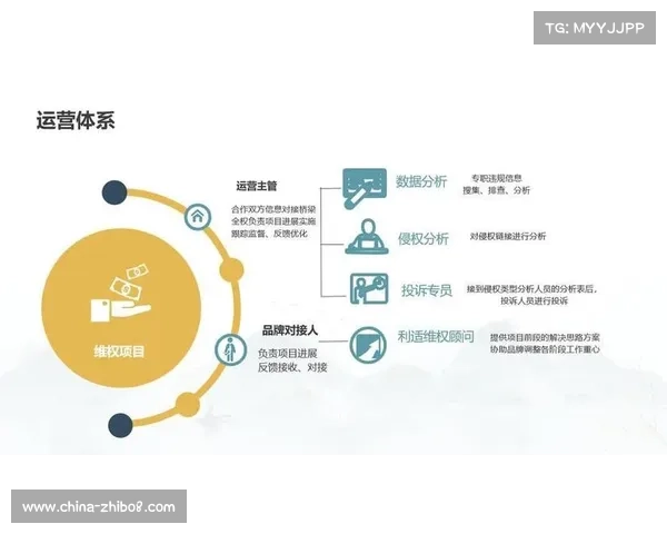 年轻球迷市场与品牌建设的双赢策略探索与商业开发路径分析 年轻球迷市场与品牌建设的双赢策略探索与商业开发路径分析